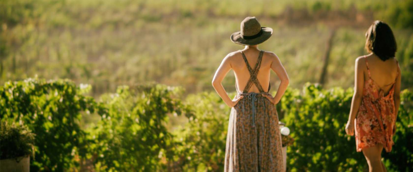 The wineries of the Algarve and the wine tastings of the region.